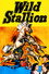 Wild Stallion