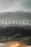 Seedling