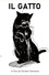 Il Gatto