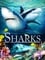 Sharks (in 3D) photo