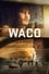 poster Waco