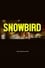 Snowbird photo