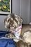 Cooper photo