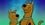 El show de Scooby-Doo y Scrappy-Doo