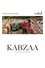 Kabzaa