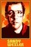 Poster Sandy Wexler