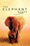 The Elephant Queen