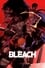 Bleach photo