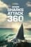 When Sharks Attack 360 photo