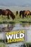 America's Wild Seasons photo