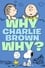 Why, Charlie Brown, Why? photo