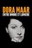Dora Maar, Between Light and Shade photo