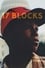 17 Blocks photo