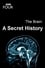 The Brain: A Secret History photo