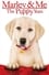 Marley & Me: The Puppy Years photo