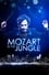 Mozart in the Jungle photo