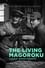 The Living Magoroku photo
