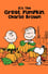 It's the Great Pumpkin, Charlie Brown photo