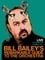 Bill Bailey's Remarkable Guide to the Orchestra photo