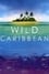 Wild Caribbean photo