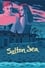 Salton Sea photo