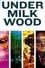 Under Milk Wood photo