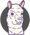 Alpaca Pictures