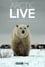 Arctic Live photo
