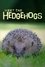 Meet the Hedgehogs photo