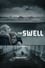 The Swell photo