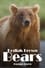 Alaska's Giant Bears photo