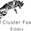 Cluster Fox Films