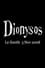 Dionysos - Le Zénih photo