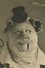 Odéo as Le cochon mondain in The Dancing Pig