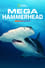 Mega Hammerhead photo