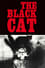 The Black Cat photo