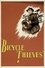 Bicycle Thieves photo