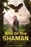 Rite of the Shaman photo