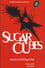 The Sugarcubes: Murder and Killing in Hell (Live at Manchester Academy) photo