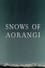 Snows of Aorangi photo