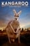 Kangaroo: A Love-Hate Story photo