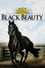 Black Beauty photo