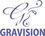 Gravision