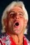 Ric Flair photo