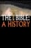 The Bible: A History photo