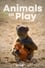 Animals at Play photo