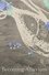 Becoming Alluvium photo
