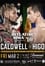 Bellator 195: Caldwell vs. Higo photo