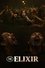 The Elixir