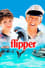 Flipper photo